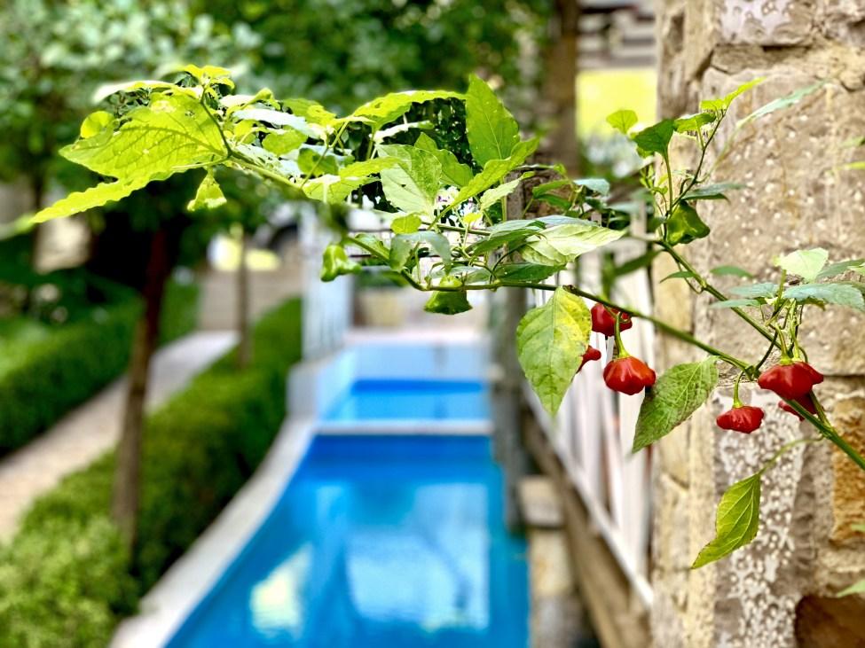 Neda Hotel Olümpia Kültér fotó